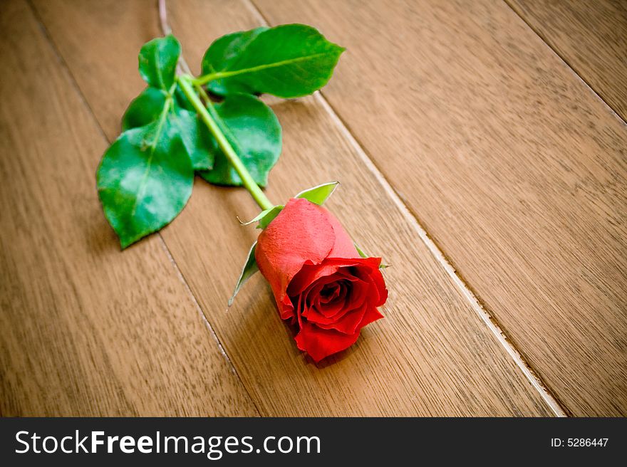 Red rose in wood floor
