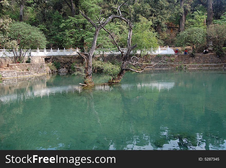 The water in the lake is so green that touchmy camera.this sence is taken in the old city of lijing . The water in the lake is so green that touchmy camera.this sence is taken in the old city of lijing .