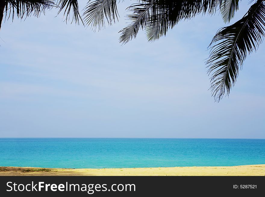 View of nice tropical empty sandy beach with some palm. View of nice tropical empty sandy beach with some palm