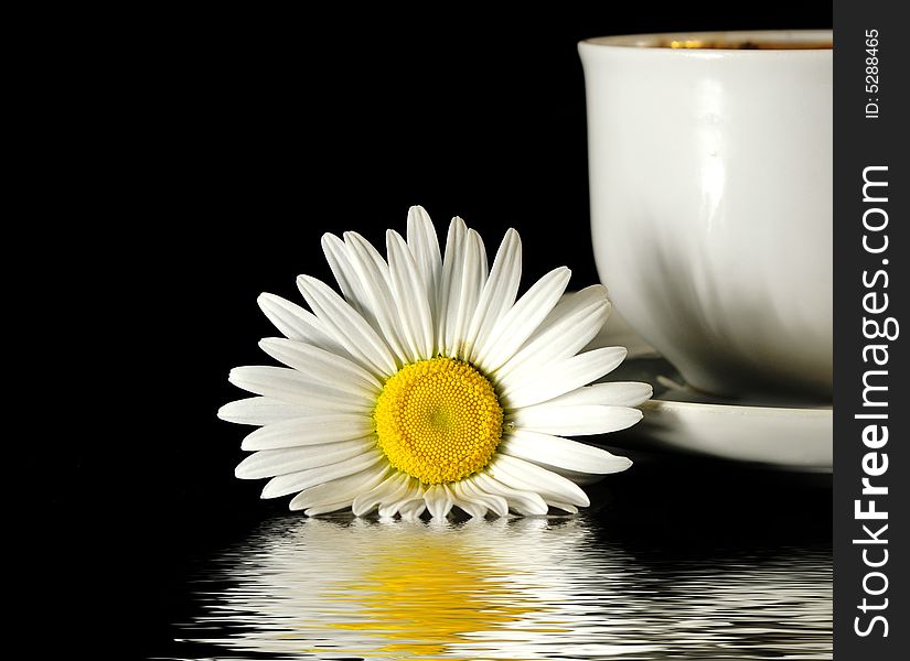 Beautiful camomile and cup of coffee on a black background