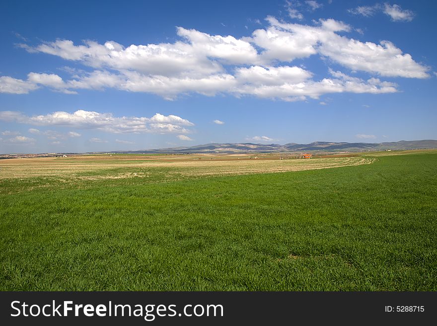 Green fields, the blue sky and white clouds. Green fields, the blue sky and white clouds