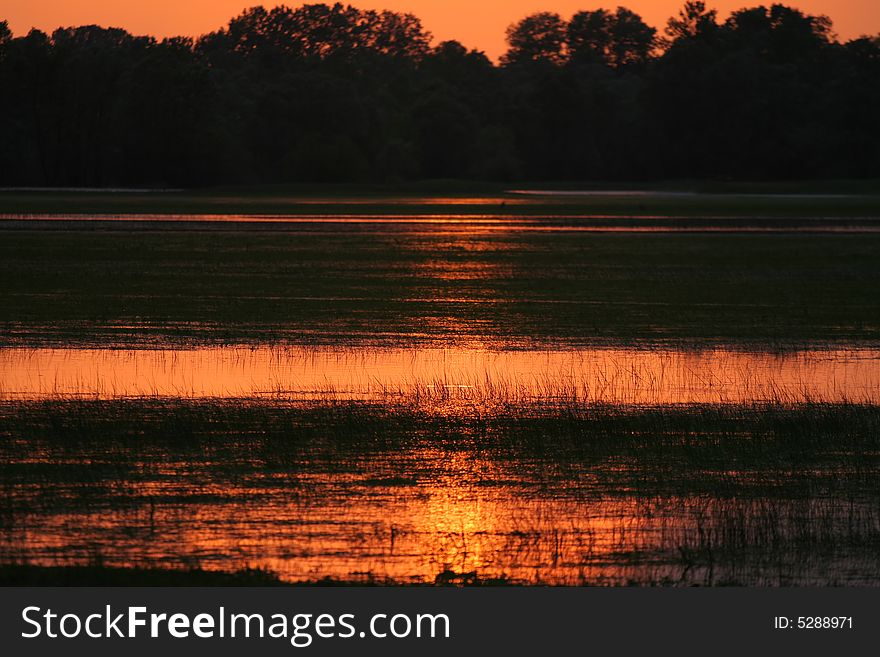 Sunset over meadow with pools of water