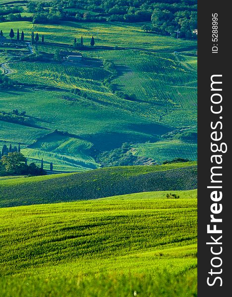 Rural countryside landscape in Tuscany region of Italy. Rural countryside landscape in Tuscany region of Italy.
