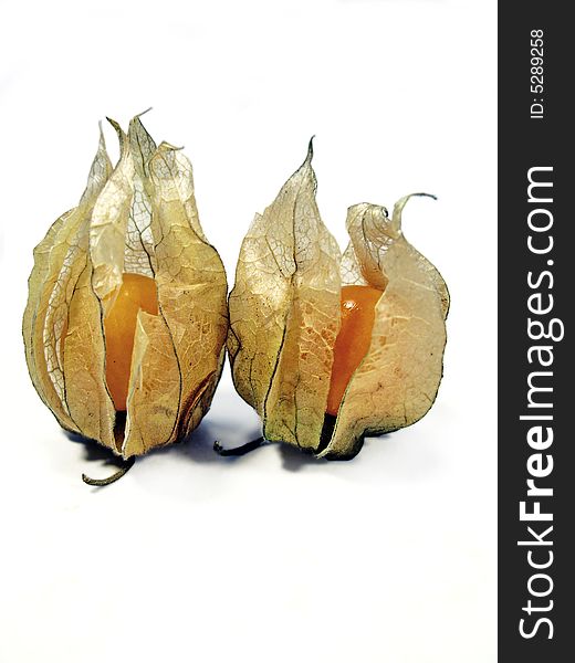 Two physalis fruits isolated on a white background.