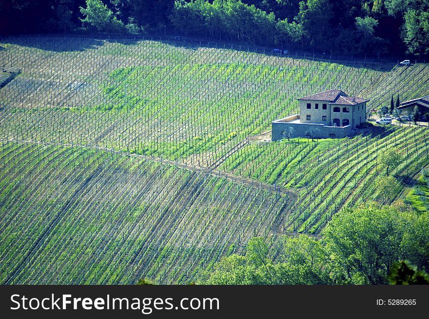 House surrounded by vineyards in the Tuscany region of Italy. House surrounded by vineyards in the Tuscany region of Italy