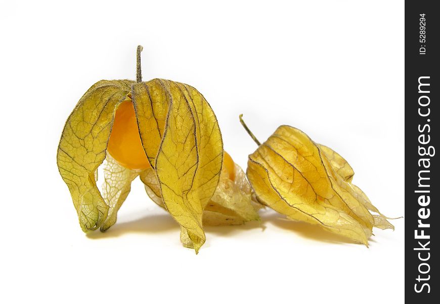 Two physalis fruits, isolated on a white background. Two physalis fruits, isolated on a white background.