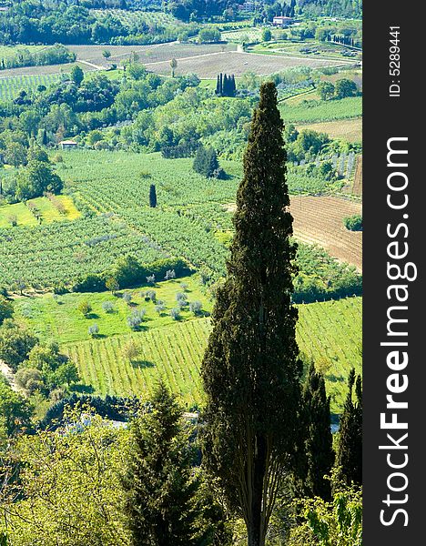 Rural countryside landscape in Tuscany region of Italy. Rural countryside landscape in Tuscany region of Italy.