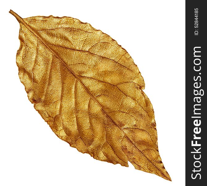 Yellow golden dry leaf, vintage element