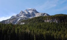Mountain Peak And Forests Stock Image