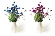 Spring Flowers Royalty Free Stock Photography Spring Flowers Royalty Free Stock Photography