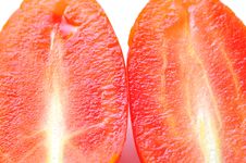 Fresh Tomatoes Stock Photo Fresh Tomatoes Stock Photo