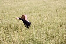 Freedom On The Field Royalty Free Stock Images Freedom On The Field Royalty Free Stock Images