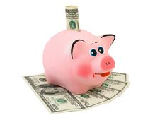 Piggy Bank And Money Stock Photography