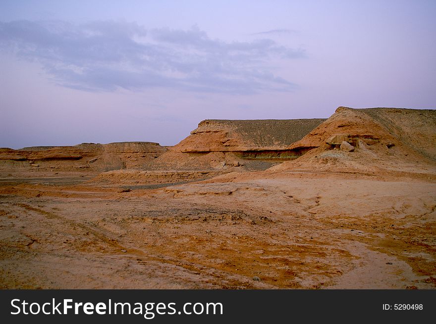 Desert landscape - a tree in Arava desert, Israel on sunrise