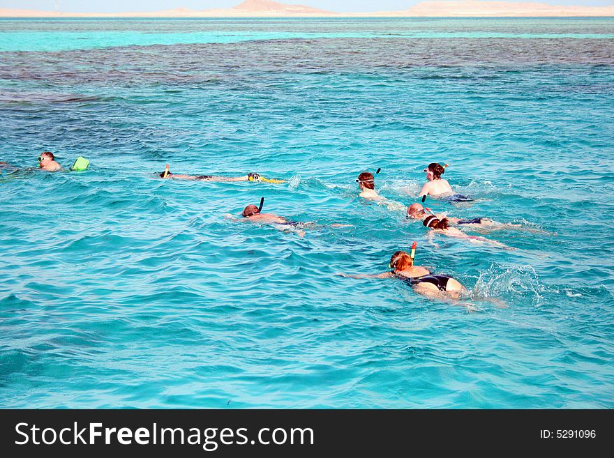 Snorkeling in the Red sea