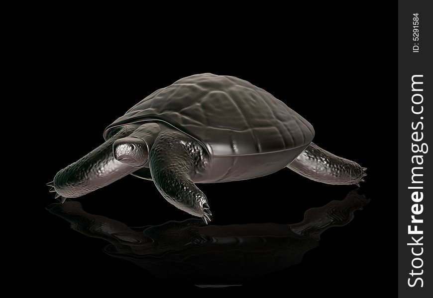 Turtle