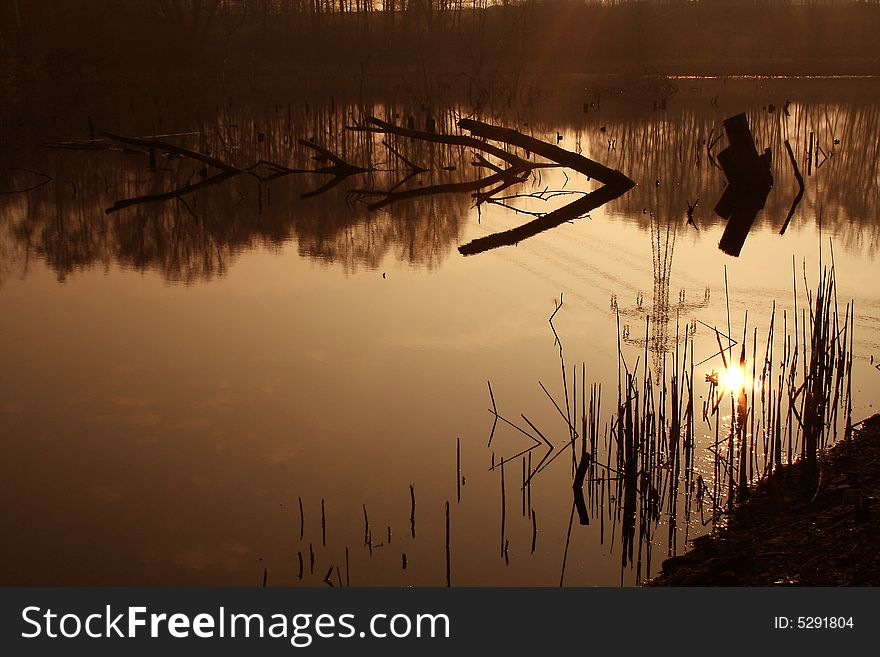 On coast of lake - in the morning