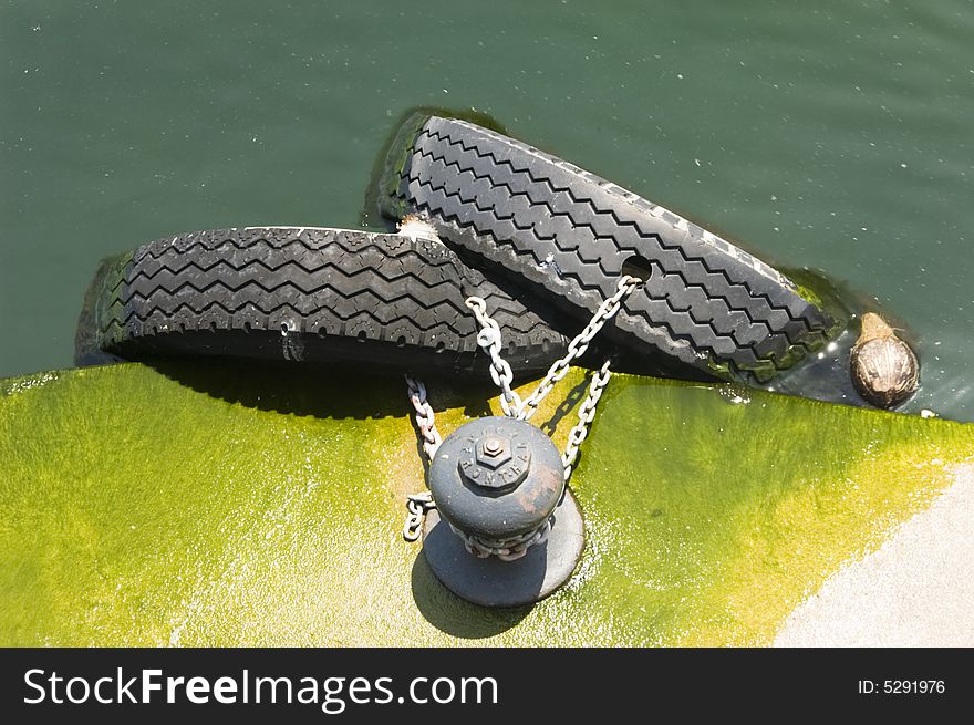A mossy shoreside with two tires on chains attached to a cleat with a coconut floating beside it. A mossy shoreside with two tires on chains attached to a cleat with a coconut floating beside it