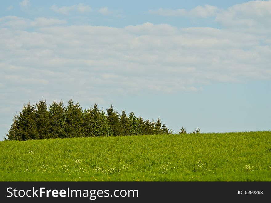 Lush green landscape and blue cloudy sky