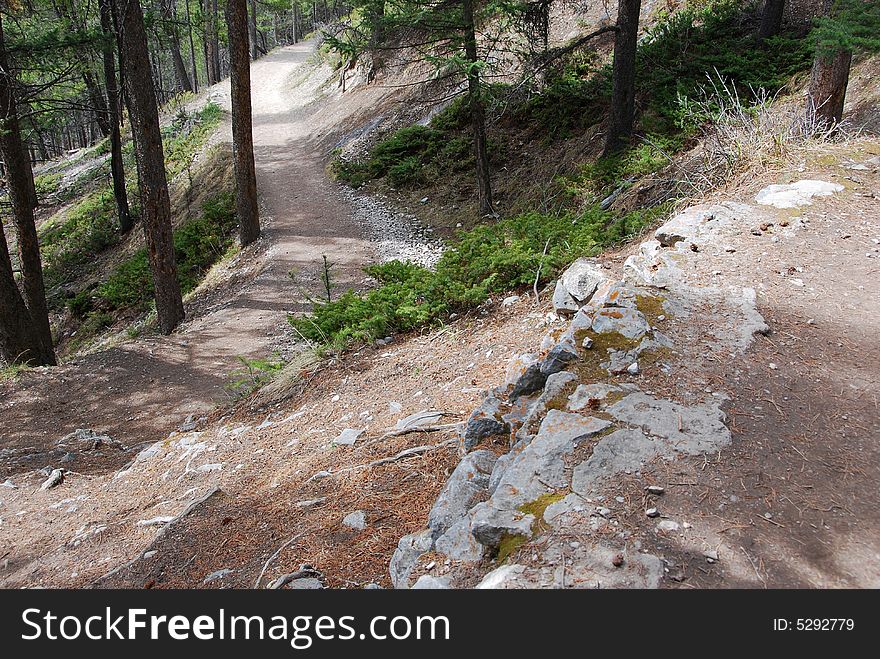 Tunnel Mountain Hiking Trail in Banff