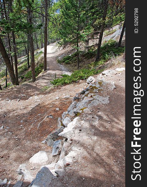 Tunnel Mountain Hiking Trail in Banff