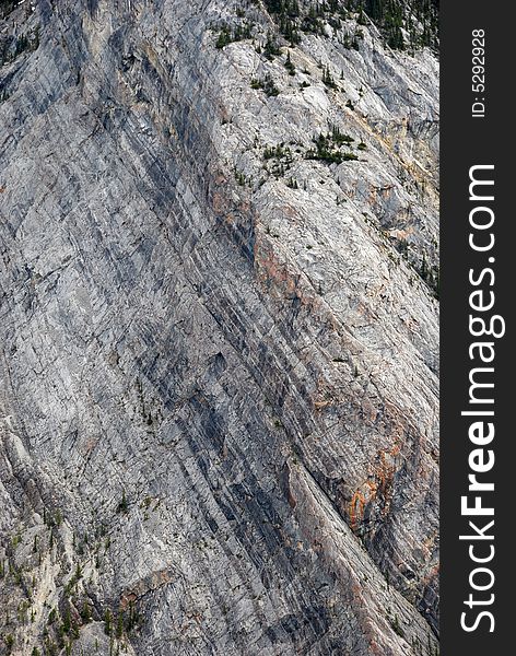 Mineral patterns on the Mountain Rundle