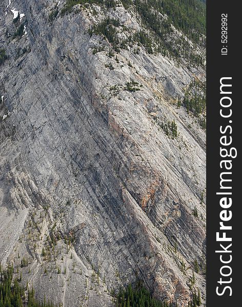 Mineral patterns on the Mountain Rundle