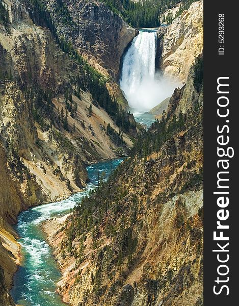 Lower Yellowstone Falls,  Yellowstone National Park, Wyoming