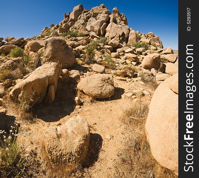 Rock formations, Joshua Tree National Park, USA