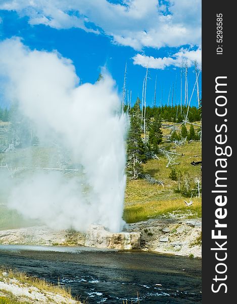 Erupting geyser pool, Yellowstone NP