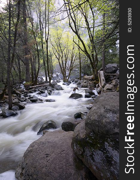 A secluded cascade in the forest in Yosemite National Park in spring. A secluded cascade in the forest in Yosemite National Park in spring