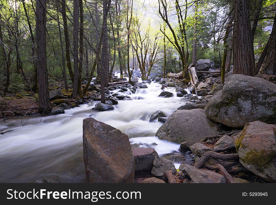 A secluded cascade in the forest in Yosemite National Park in spring. A secluded cascade in the forest in Yosemite National Park in spring