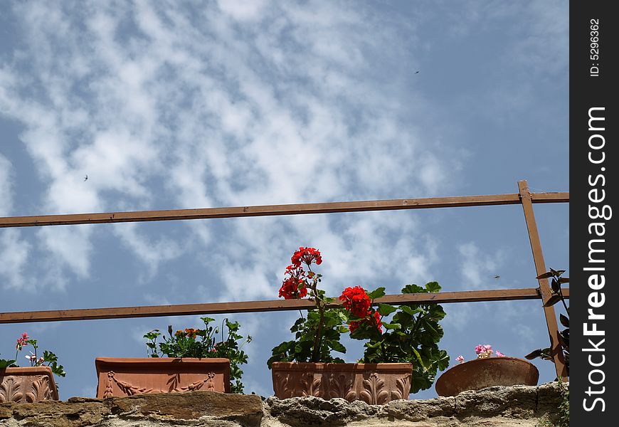 A singolar shot of some pots of flowers clear-cut in a blue and cloudy sky. A singolar shot of some pots of flowers clear-cut in a blue and cloudy sky