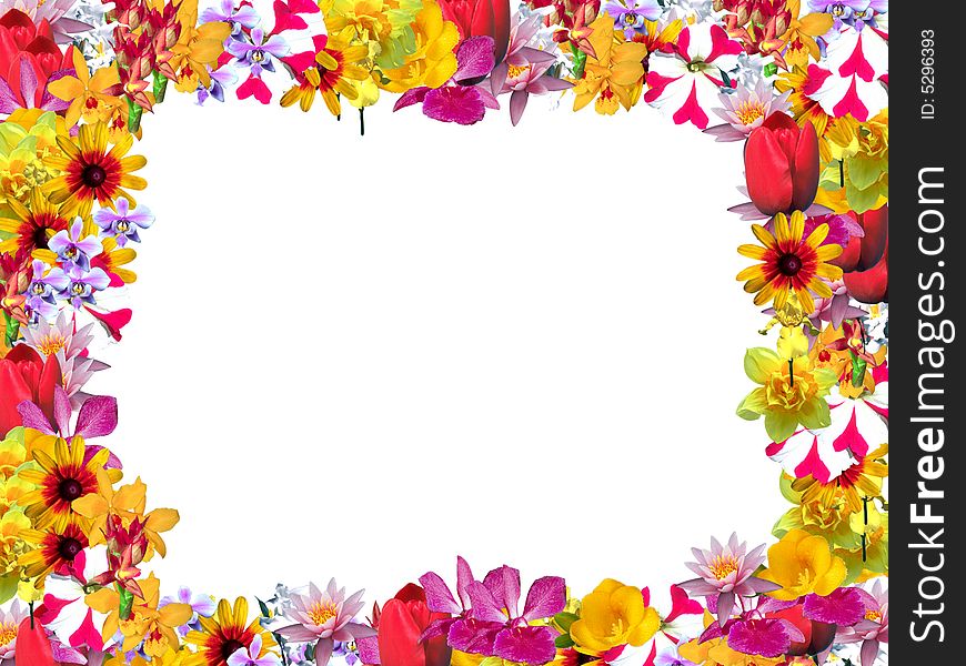 Beautiful frame with colored flowers. Beautiful frame with colored flowers