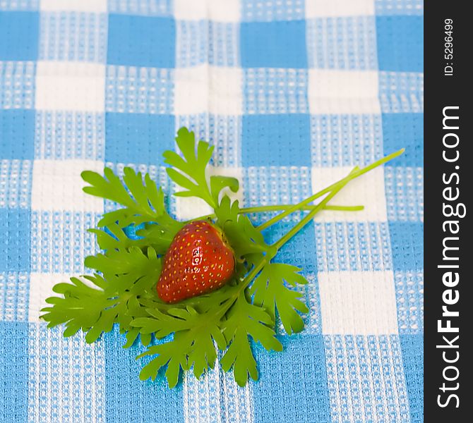 Strawberry And Plant On Fabric Background