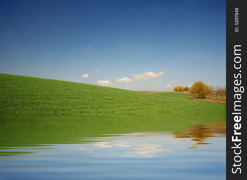 An image of a green meadow and blue sky. An image of a green meadow and blue sky