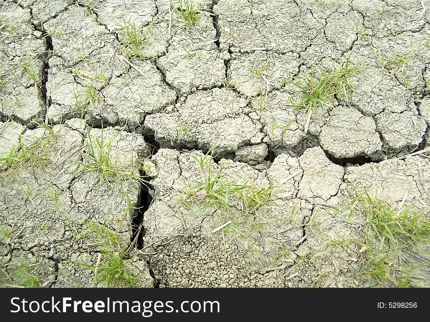 Cracks in an arid land. Cracks in an arid land