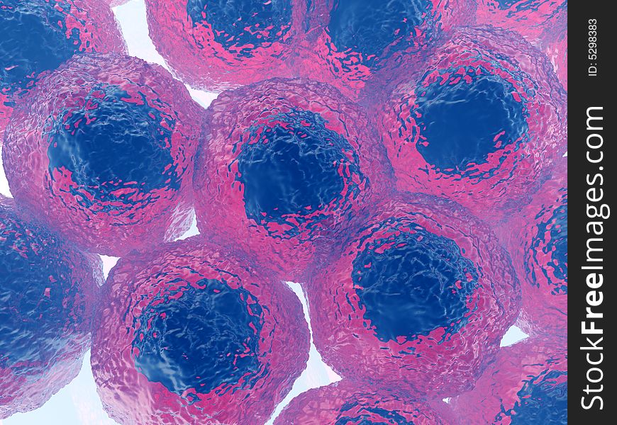 An image of some cells . It would make a interesting medical or background image. An image of some cells . It would make a interesting medical or background image.