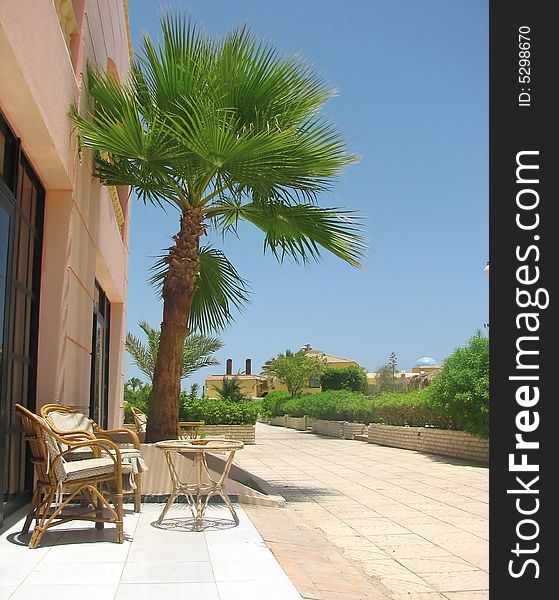 Chairs and table under Palm tree