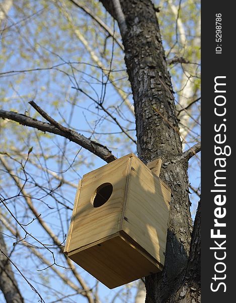 Birds house made from plywood on the tree