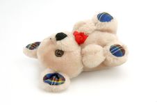 Teddy Bear Stock Image Teddy Bear Stock Image