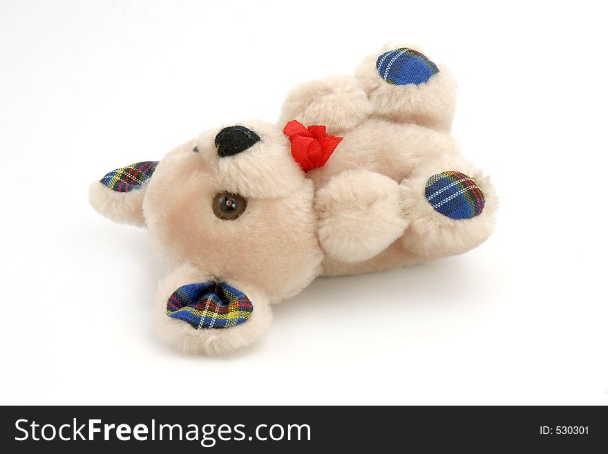 Isolated lying teddy bear