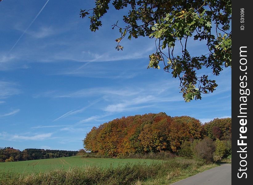The hilly area of the Palatine region in Germany in autumn. The hilly area of the Palatine region in Germany in autumn