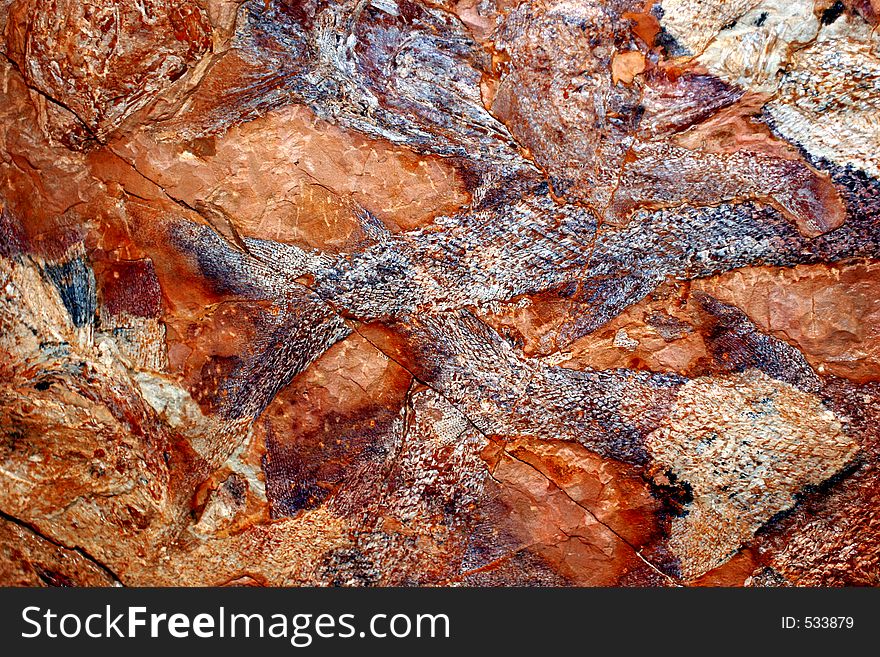 Limestone with fossils of fishes