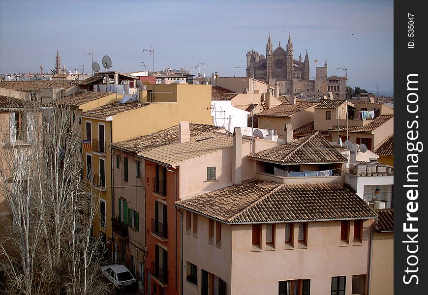 Palma Cathedral over the roofs