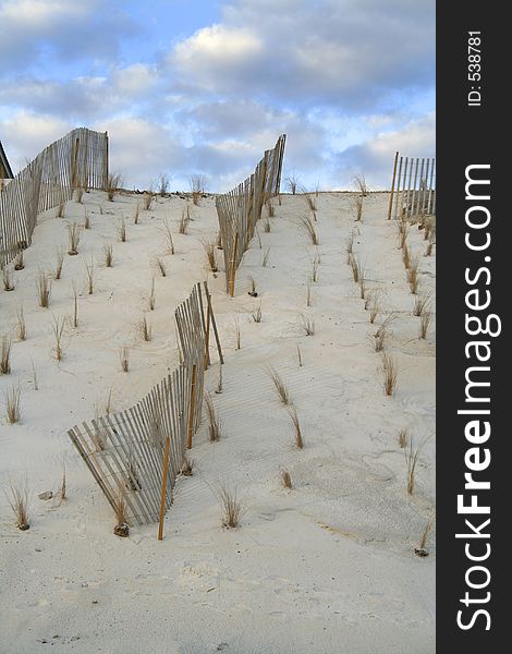 Fencing protecting the dunes. Fencing protecting the dunes