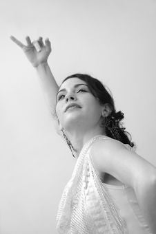 Young Flamenco Dancer Royalty Free Stock Image