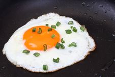 Egg On Pan Royalty Free Stock Photos Egg On Pan Royalty Free Stock Photos