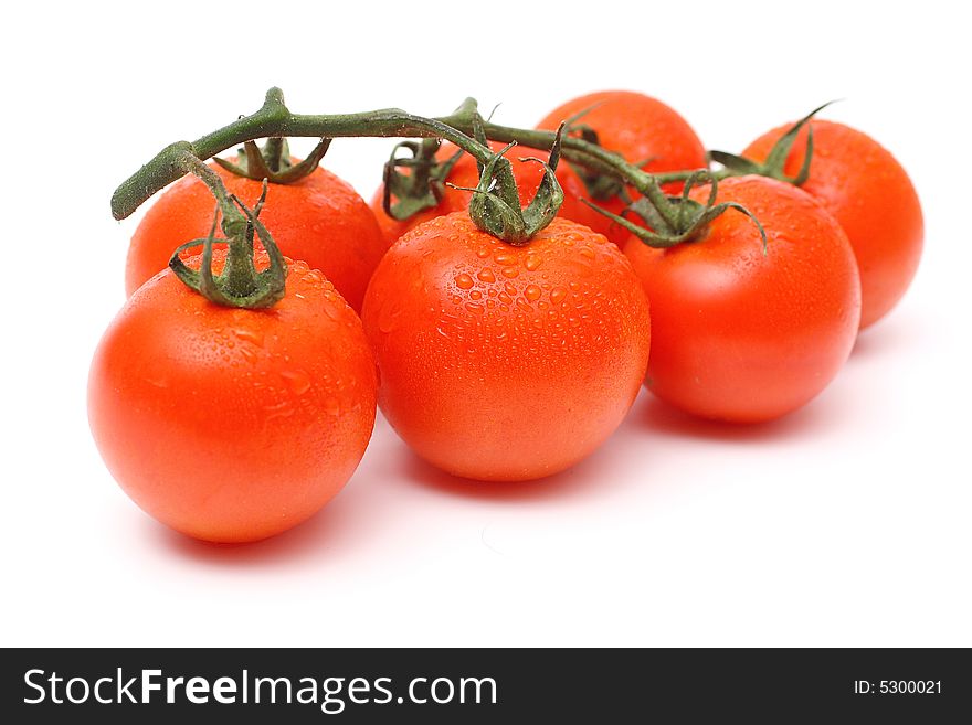 Seven tomatoes with drops on a stalk