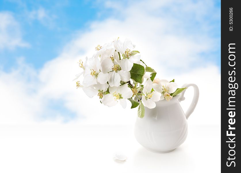 White jug with a branch of an apple tree on a background of the sky